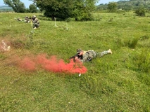 Picture 11